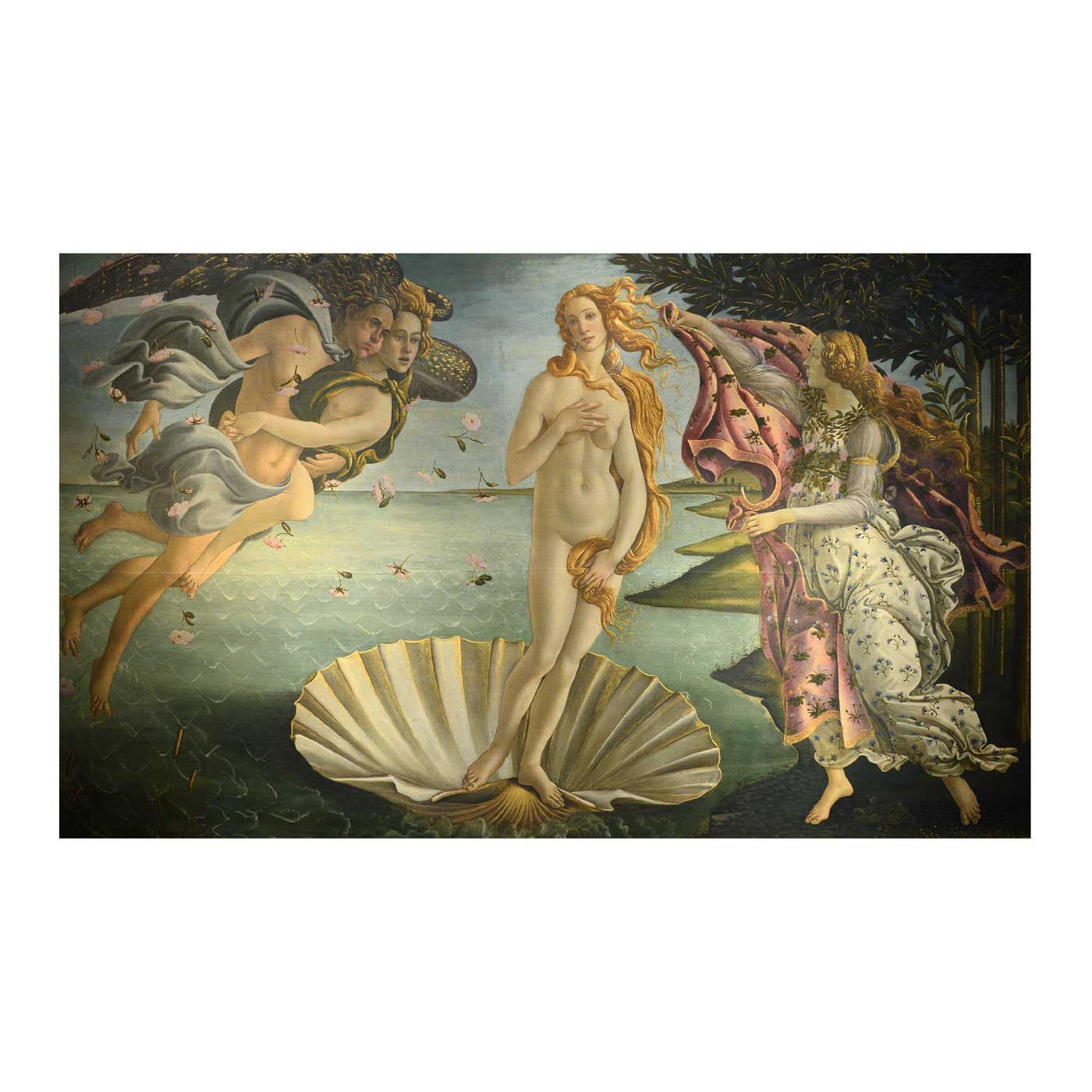 Sandro Botticelli La Naissance De V Nus Studio Morfes