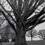 Halftone Tree
