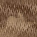Venus-at-Her-Mirror