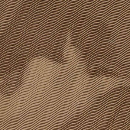 Venus-at-Her-Mirror