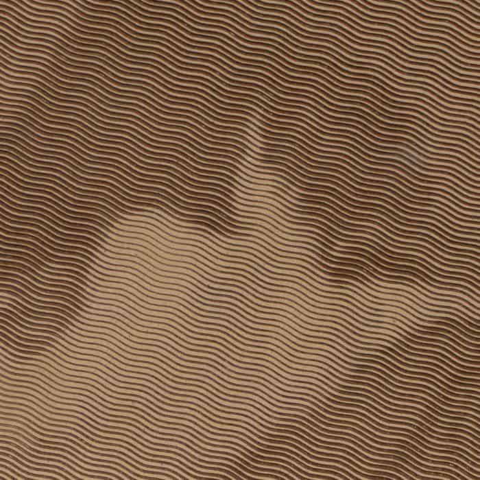 Venus-at-Her-Mirror