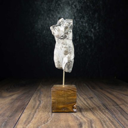 Female torso