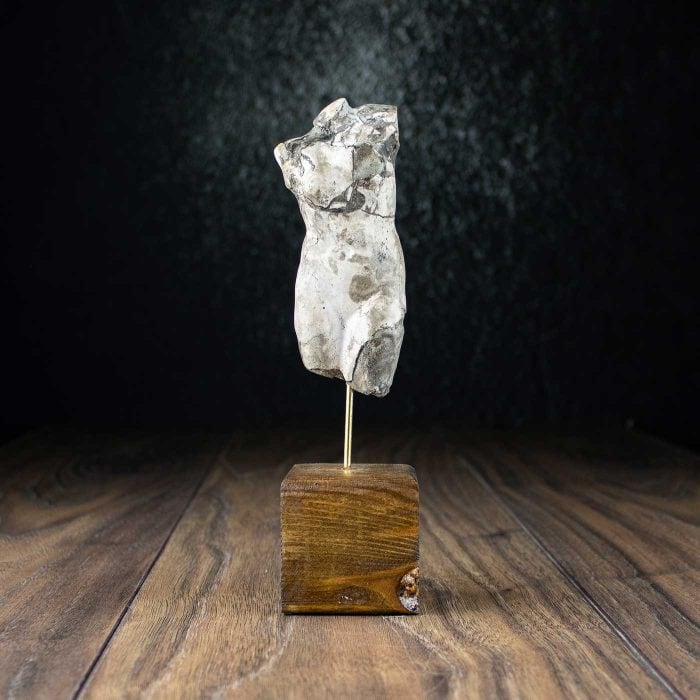 Female torso
