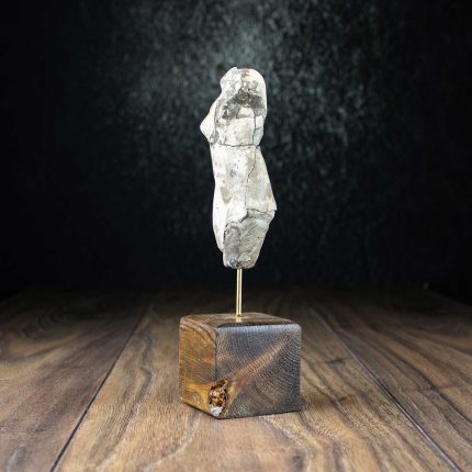 Female torso