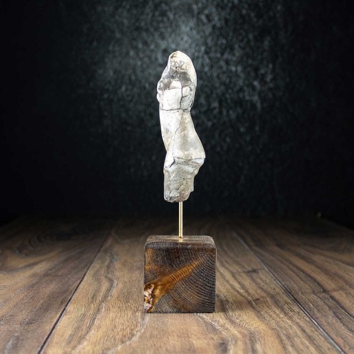 Female torso