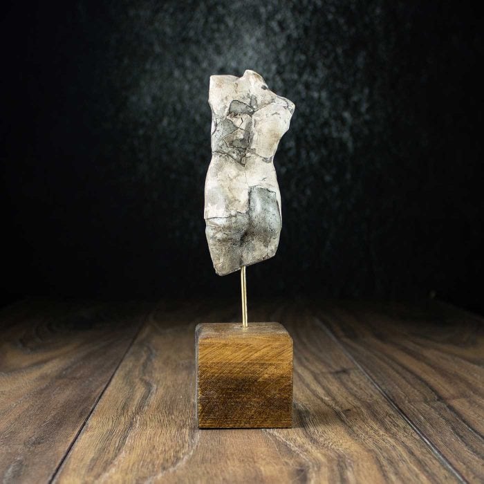 Female torso