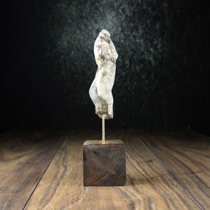 Female torso