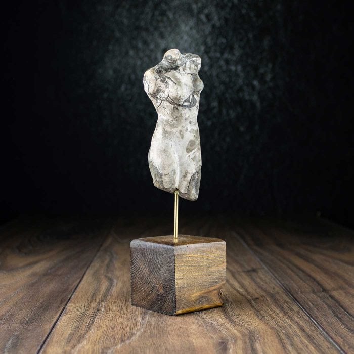 Female torso