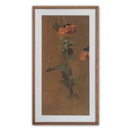 James Inskipp - Study of Poppies - Print