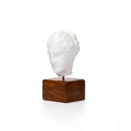 Sculpture – Head of Hygeia (Greek Goddess of Health)