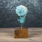 Sculpture – Head of Hygeia