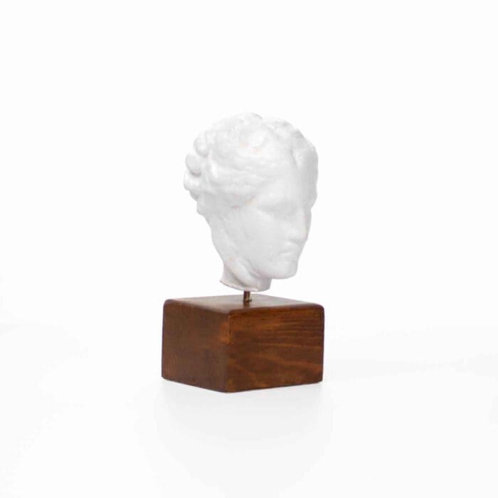 Sculpture – Head of Hygeia (Greek Goddess of Health)