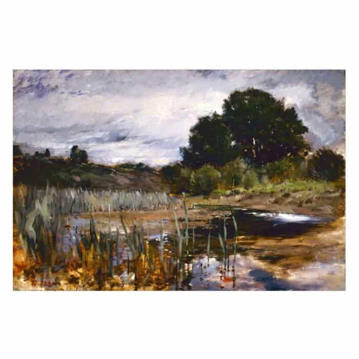 Frank Duveneck - Polling Landscape