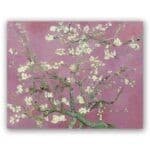 Πίνακας σε καμβά - Van Gogh Almond Blossom Pink