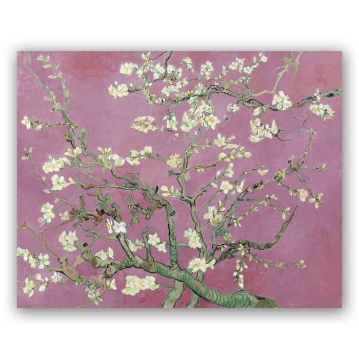 Πίνακας σε καμβά - Van Gogh Almond Blossom Pink