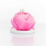 Peony Candle Pink