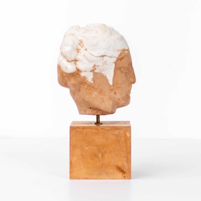 Sculpture – Head of Hygeia (Greek Goddess of Health)