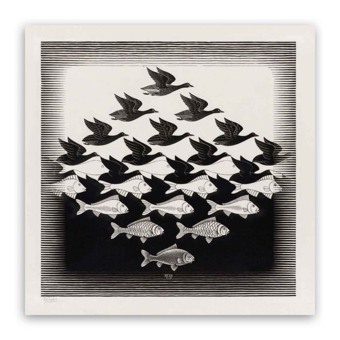 Πίνακας σε καμβά - Bird Fish - M.C. Escher