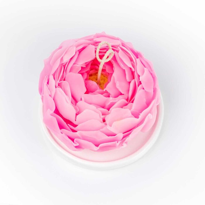 Peony Candle Pink